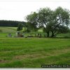 2010_stammeslager_002