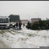 2011 - Aktionen &raquo; 2011 - Weihnachtsbaumsammelaktion