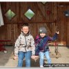 2017_stawe_alm_002
