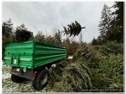 2025 - Aktionen &raquo; 2025 - Weihnachtsbaum-Sammelaktion