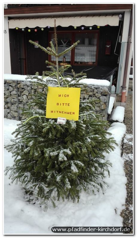 2020 Weihnachtsbaumsammeln
